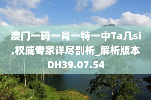澳门一码一肖一特一中Ta几si,权威专家详尽剖析_解析版本DH39.07.54