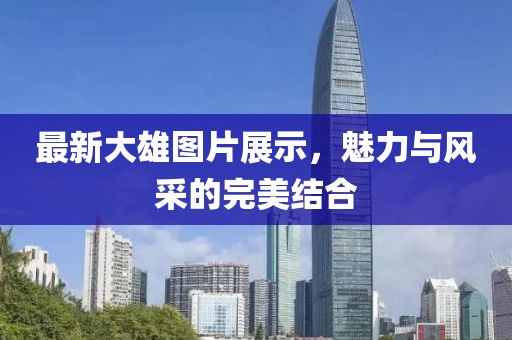 最新大雄图片展示，魅力与风采的完美结合