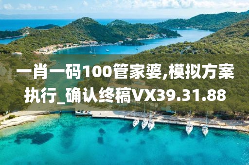 一肖一码100管家婆,模拟方案执行_确认终稿VX39.31.88