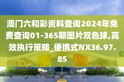 澳门六和彩资料查询2024年免费查询01-365期图片双色球,高效执行策略_便携式NX36.97.85