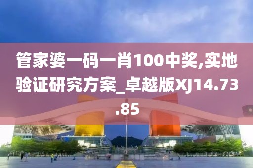 管家婆一码一肖100中奖,实地验证研究方案_卓越版XJ14.73.85