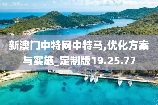 新澳门中特网中特马,优化方案与实施_定制版19.25.77