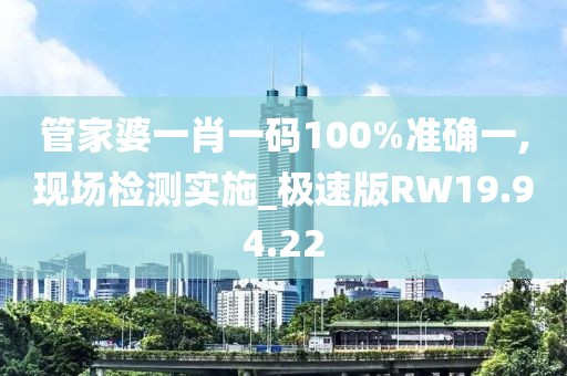 管家婆一肖一码100%准确一,现场检测实施_极速版RW19.94.22