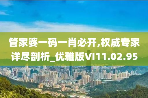 管家婆一码一肖必开,权威专家详尽剖析_优雅版VI11.02.95