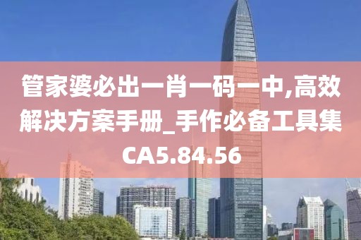 管家婆必出一肖一码一中,高效解决方案手册_手作必备工具集CA5.84.56