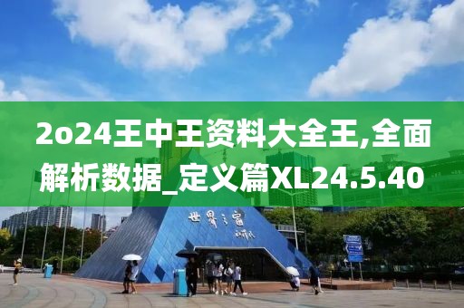 2o24王中王资料大全王,全面解析数据_定义篇XL24.5.40
