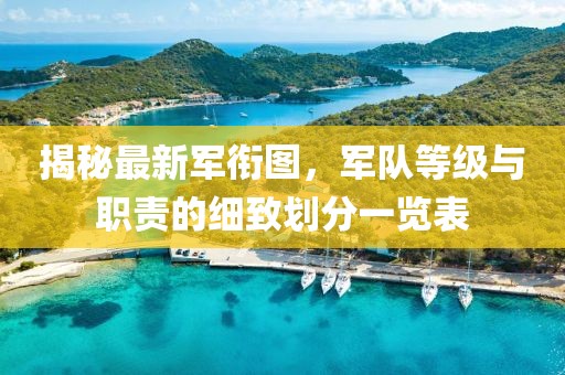 揭秘最新军衔图，军队等级与职责的细致划分一览表