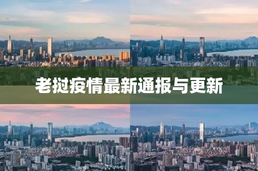 老挝疫情最新通报与更新