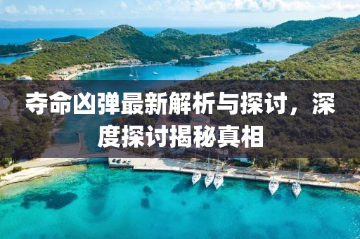 夺命凶弹最新解析与探讨，深度探讨揭秘真相