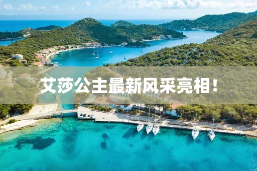 艾莎公主最新风采亮相！