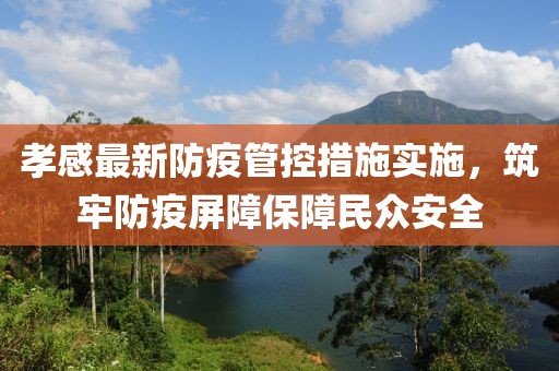 孝感最新防疫管控措施实施，筑牢防疫屏障保障民众安全