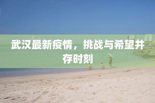 武汉最新疫情，挑战与希望并存时刻