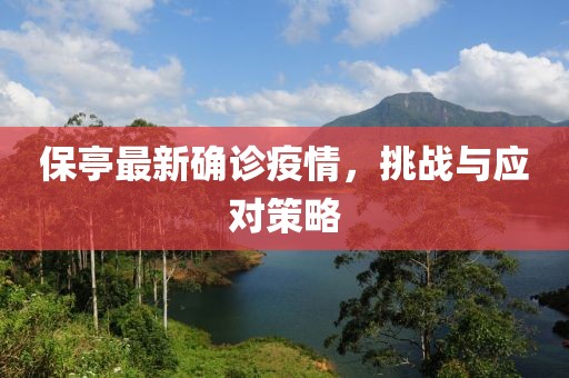 保亭最新确诊疫情，挑战与应对策略