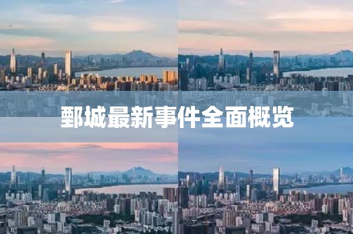 鄄城最新事件全面概览