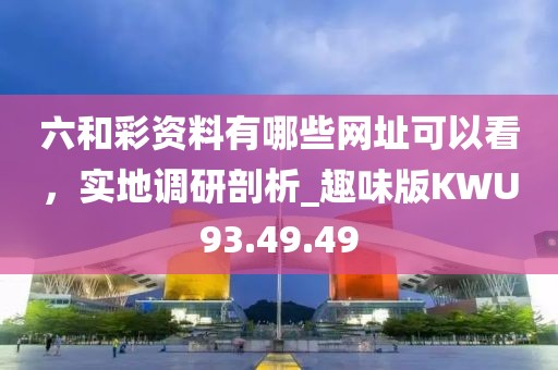 六和彩资料有哪些网址可以看，实地调研剖析_趣味版KWU93.49.49