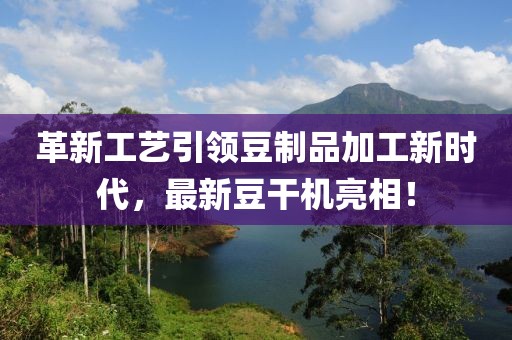 革新工艺引领豆制品加工新时代，最新豆干机亮相！