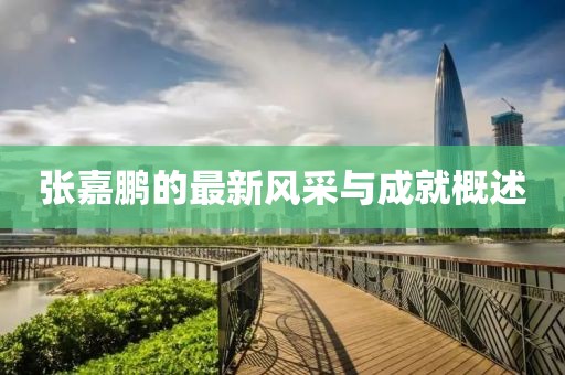张嘉鹏的最新风采与成就概述