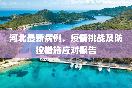 河北最新病例，疫情挑战及防控措施应对报告