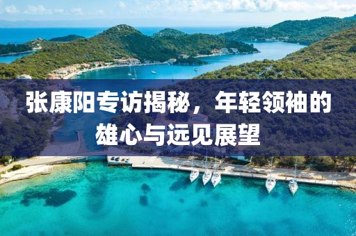 张康阳专访揭秘，年轻领袖的雄心与远见展望