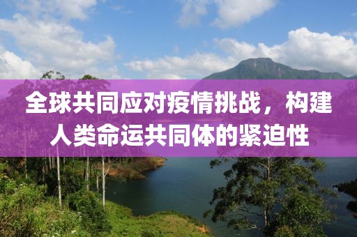 全球共同应对疫情挑战，构建人类命运共同体的紧迫性