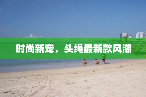 时尚新宠，头绳最新款风潮
