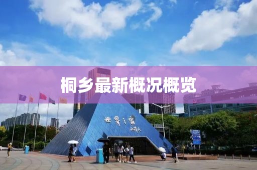 桐乡最新概况概览