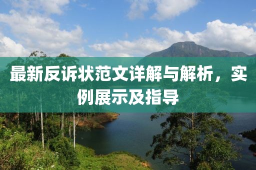 最新反诉状范文详解与解析，实例展示及指导
