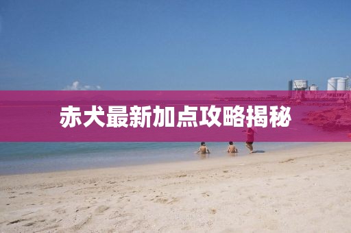 赤犬最新加点攻略揭秘
