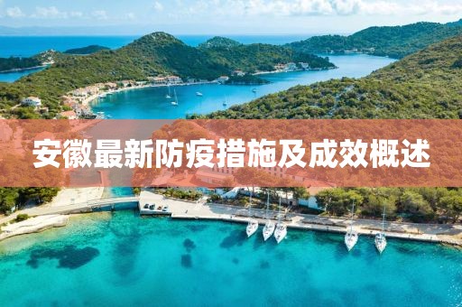 安徽最新防疫措施及成效概述