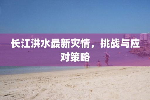 长江洪水最新灾情，挑战与应对策略