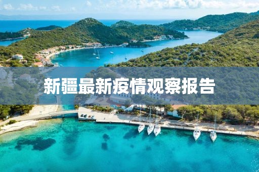 新疆最新疫情观察报告