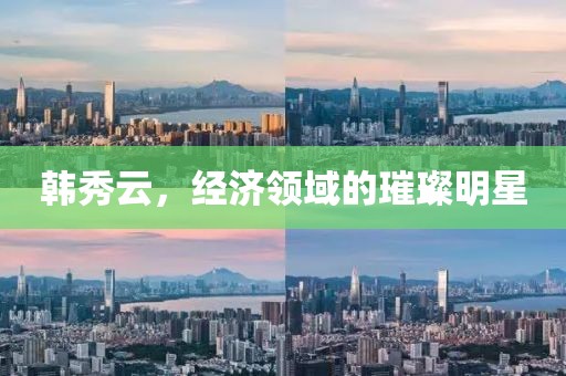 韩秀云，经济领域的璀璨明星