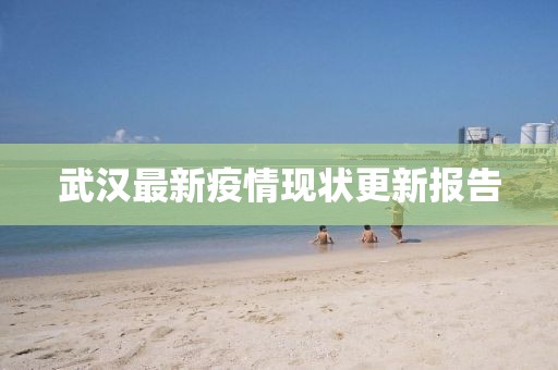 武汉最新疫情现状更新报告