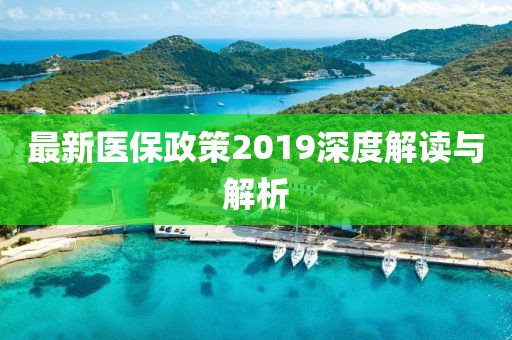 最新医保政策2019深度解读与解析