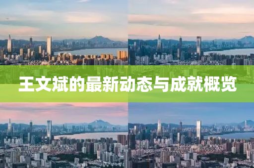 王文斌的最新动态与成就概览