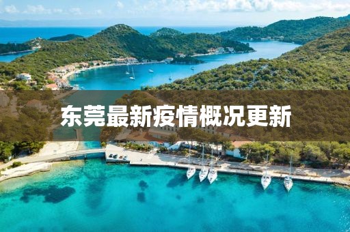 东莞最新疫情概况更新