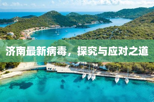 济南最新病毒，探究与应对之道