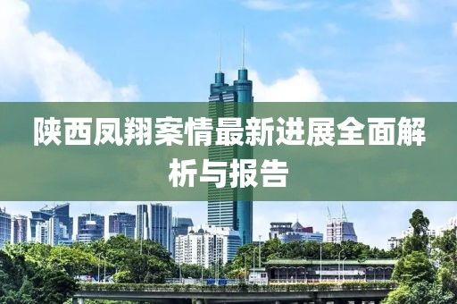 陕西凤翔案情最新进展全面解析与报告
