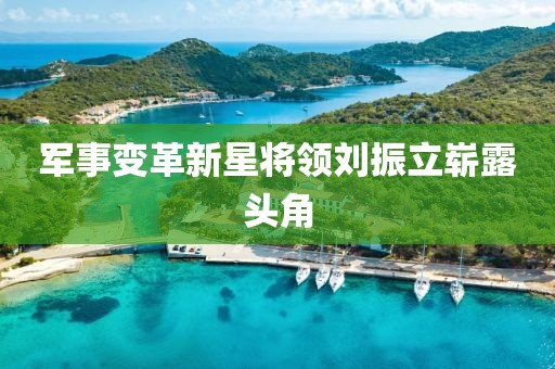 军事变革新星将领刘振立崭露头角