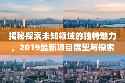 揭秘探索未知领域的独特魅力，2019最新项目展望与探索