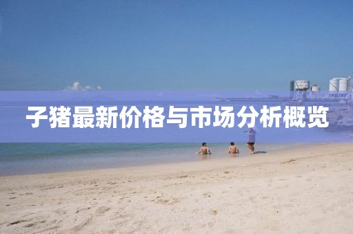 子猪最新价格与市场分析概览