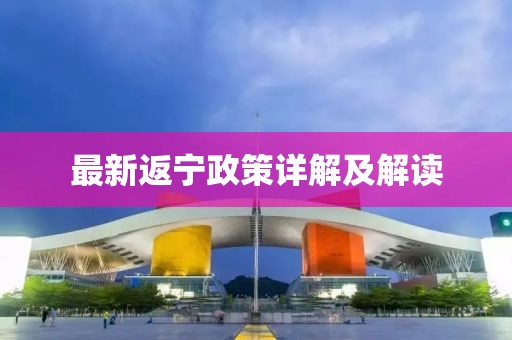 最新返宁政策详解及解读