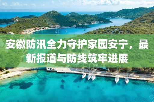 安徽防汛全力守护家园安宁，最新报道与防线筑牢进展