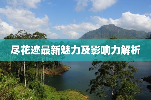 尽花迹最新魅力及影响力解析