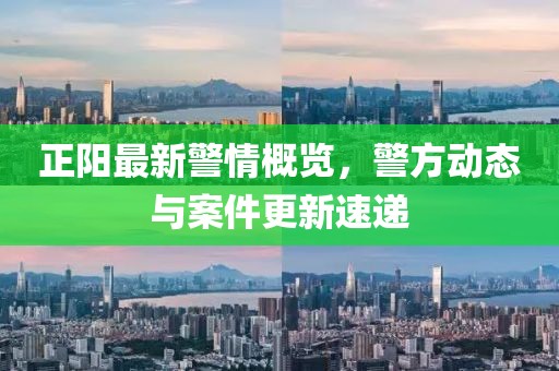 正阳最新警情概览，警方动态与案件更新速递
