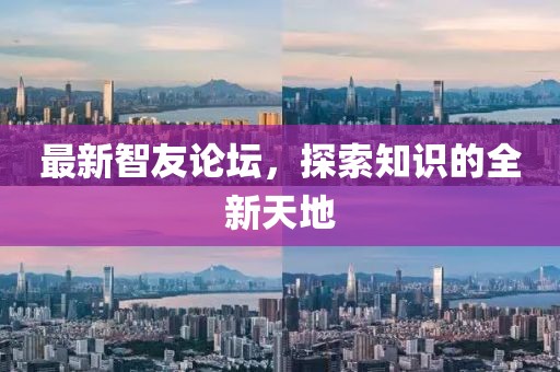最新智友论坛，探索知识的全新天地
