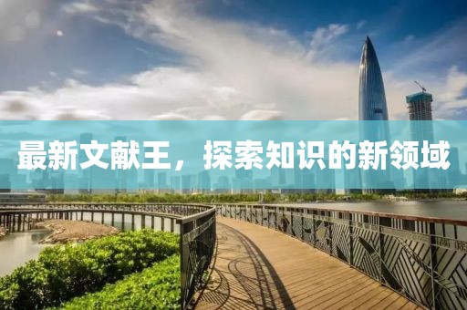 最新文献王，探索知识的新领域