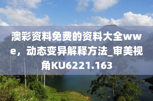 澳彩资料免费的资料大全wwe，动态变异解释方法_审美视角KU6221.163