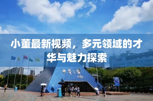 小董最新视频，多元领域的才华与魅力探索
