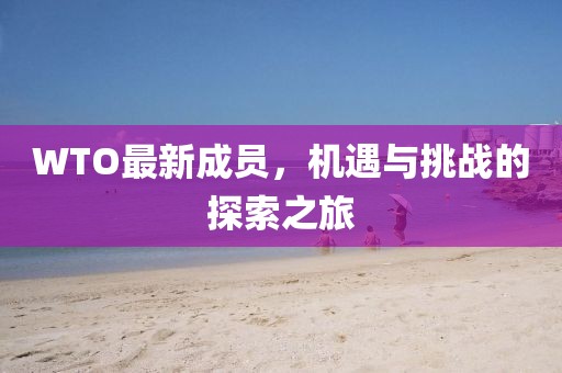 WTO最新成员，机遇与挑战的探索之旅